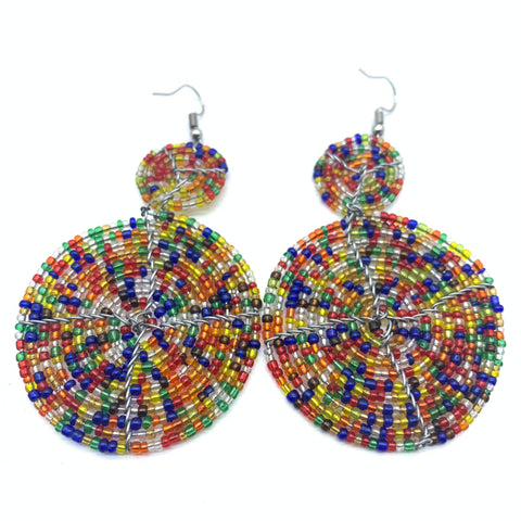 Beaded Earrings-Multi Colour  4