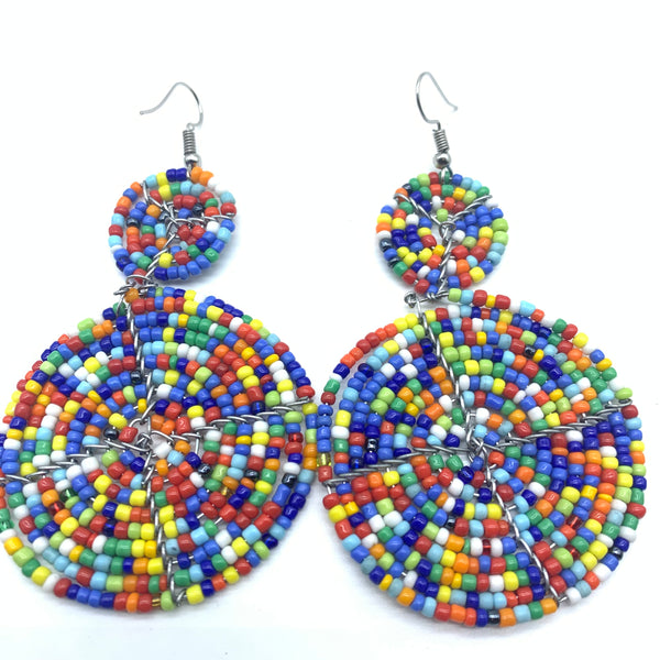 Beaded Earrings-Multi Colour 5