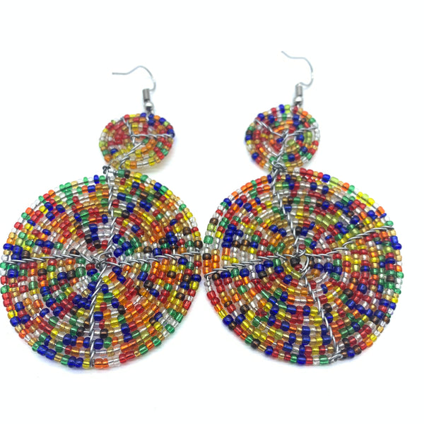 Beaded Earrings-Multi Colour  4