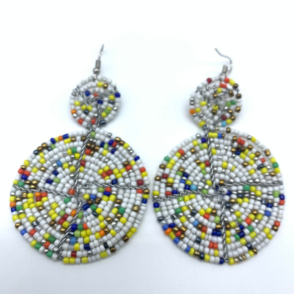 Beaded Earrings-Multi Colour 11